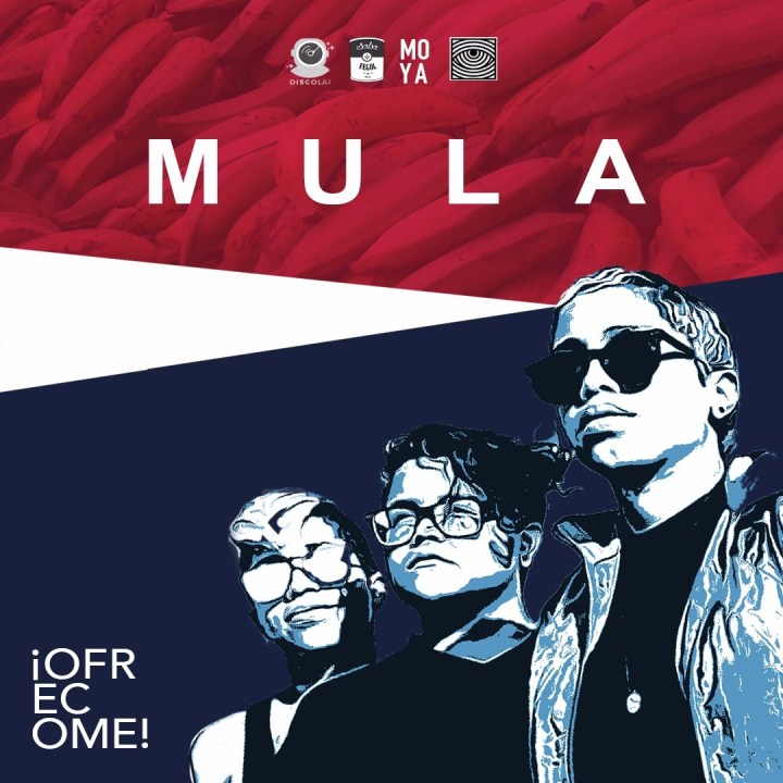 Ofrecome MULA IG WALL